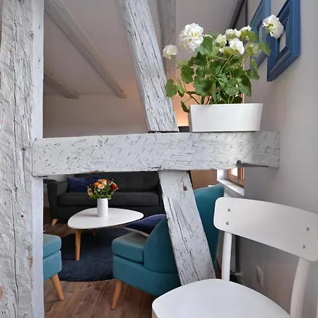 Appartement L'authentique De La Petite Venise Colmar