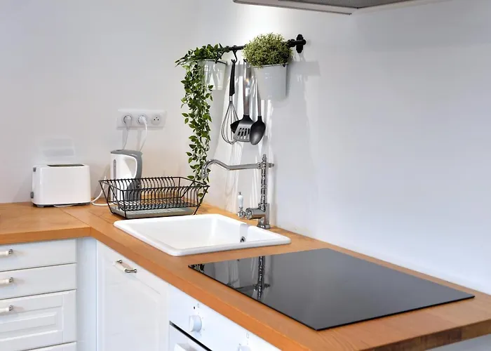 Апартаменты L'authentique De La Petite Venise Кольмар